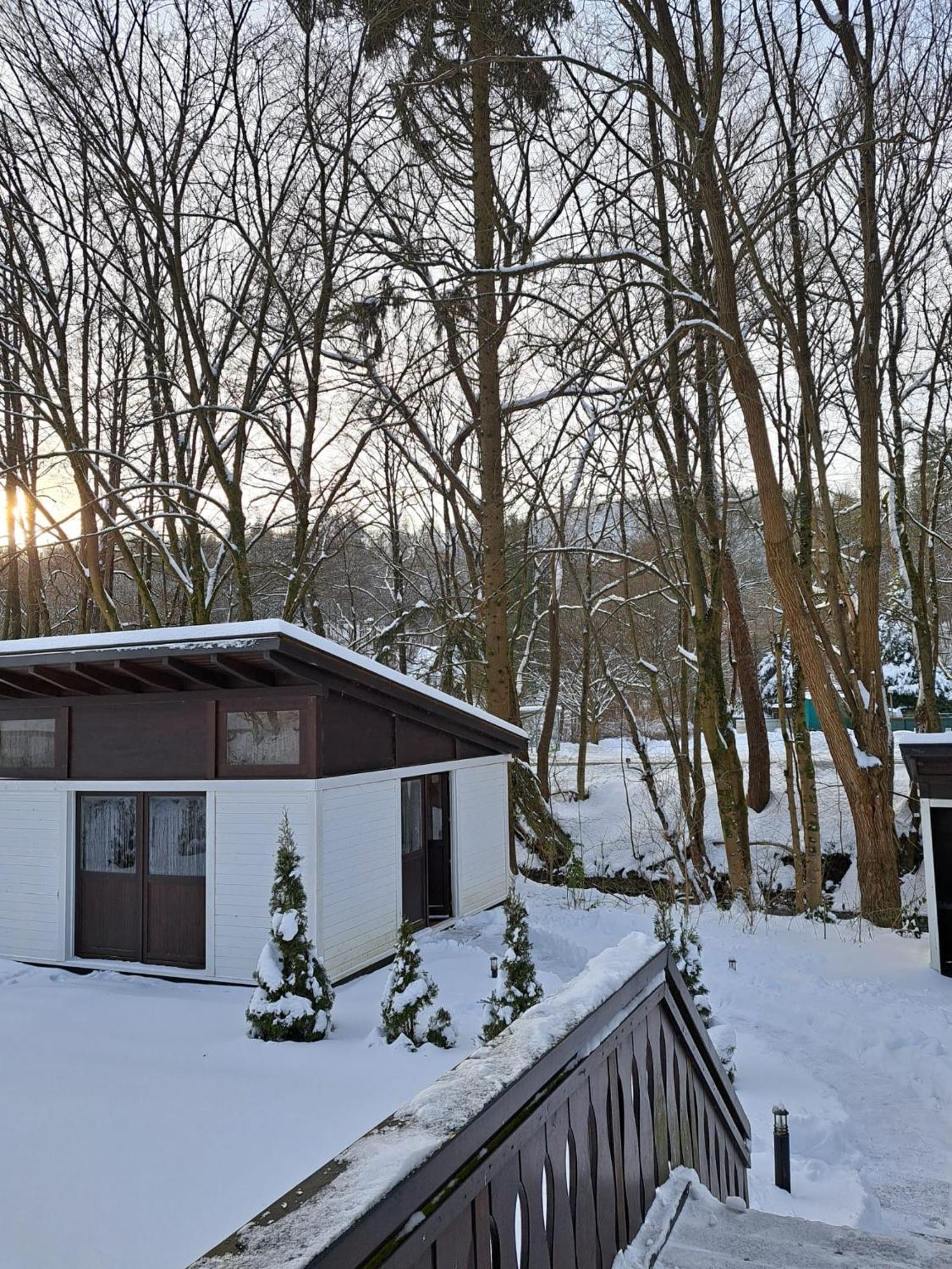 Ferienhaus Gretel In Zorge Exteriér fotografie